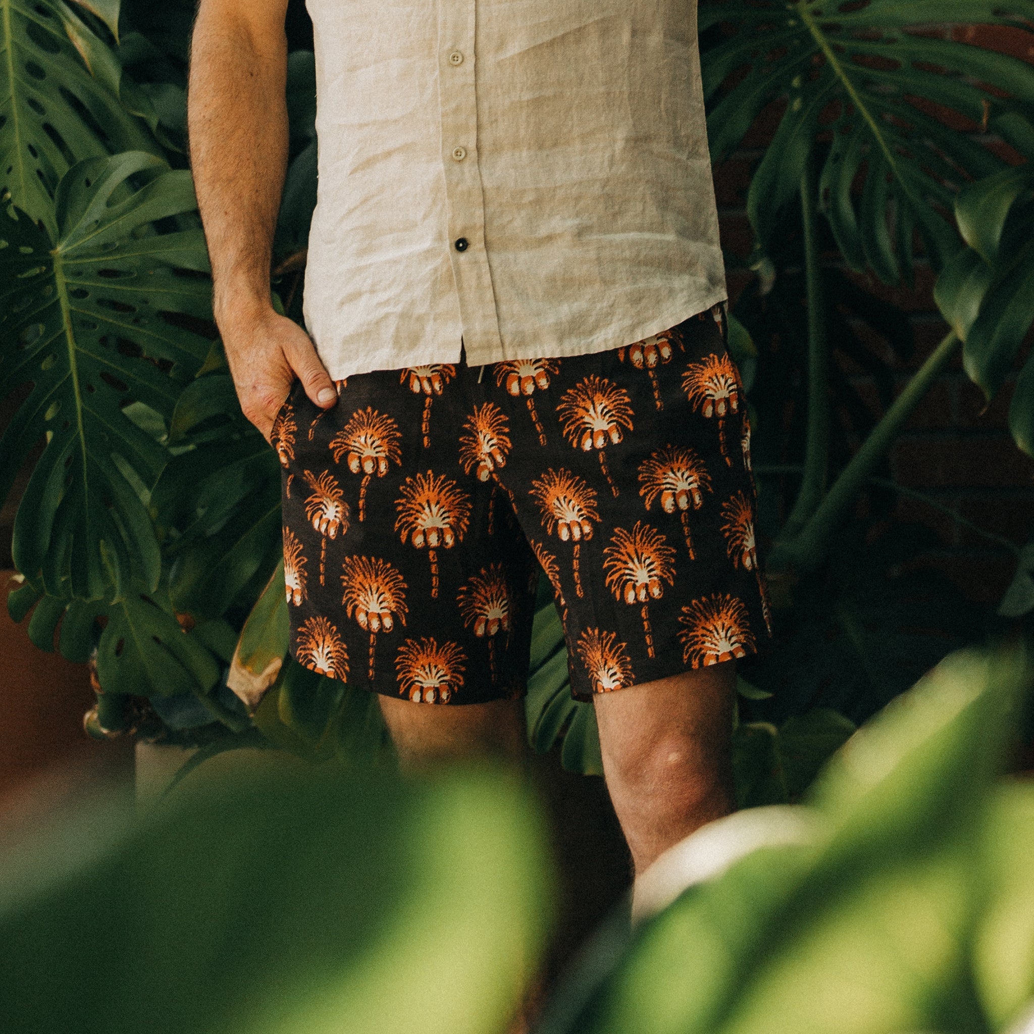 The Bayberry Trunk in Mirage Palm