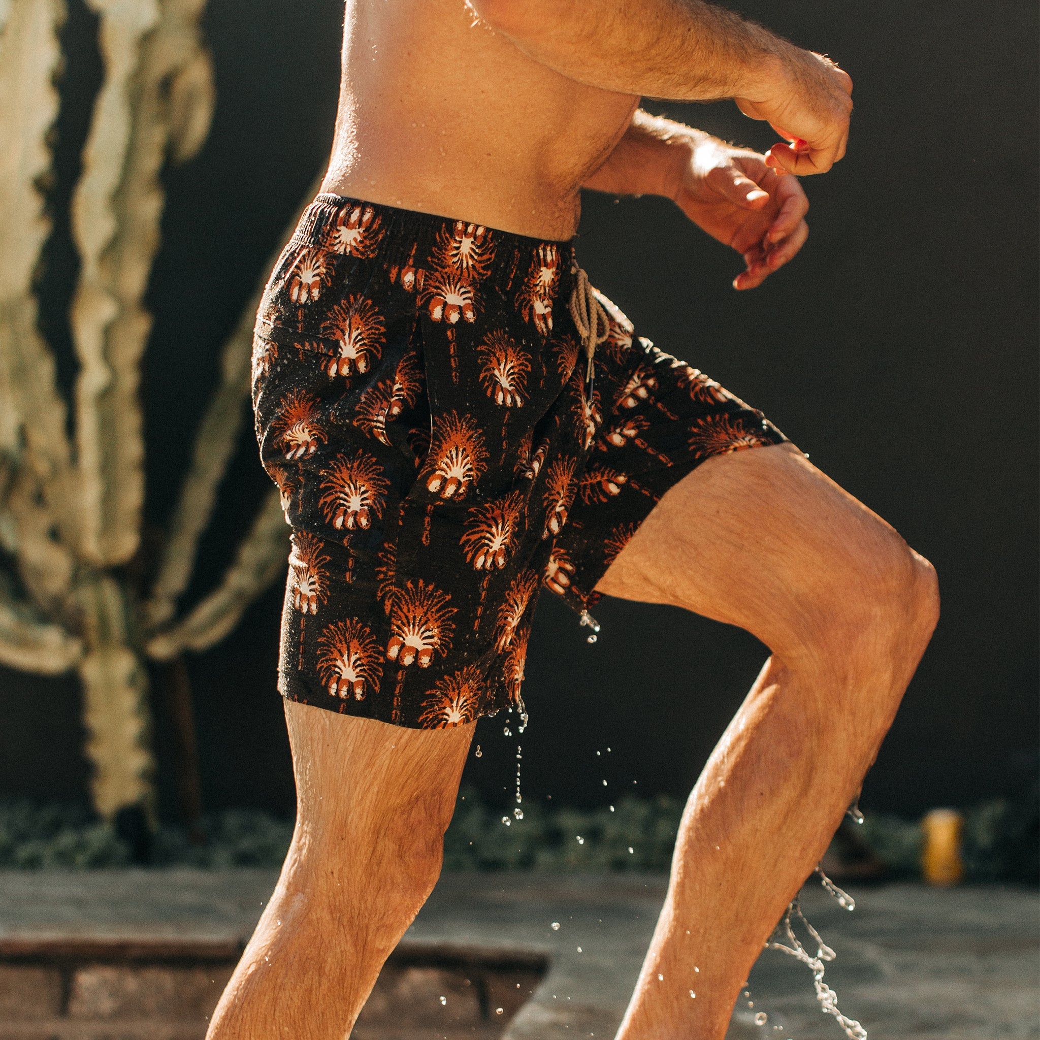 The Bayberry Trunk in Mirage Palm