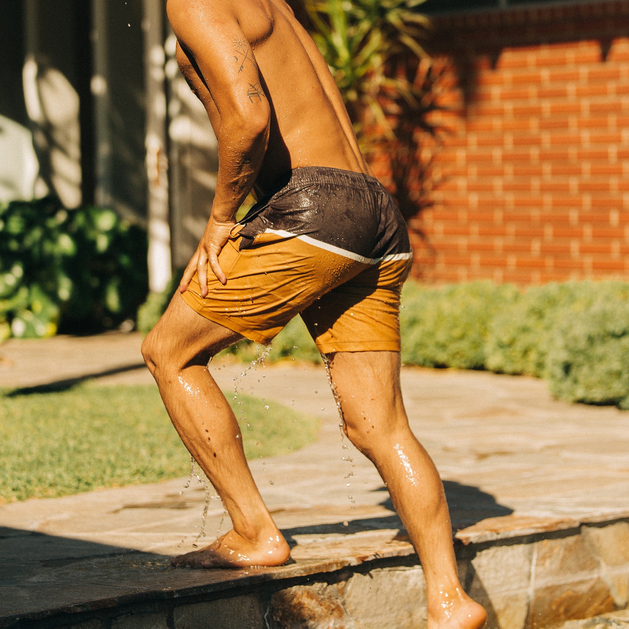 The Bayberry Trunk in Sandbar