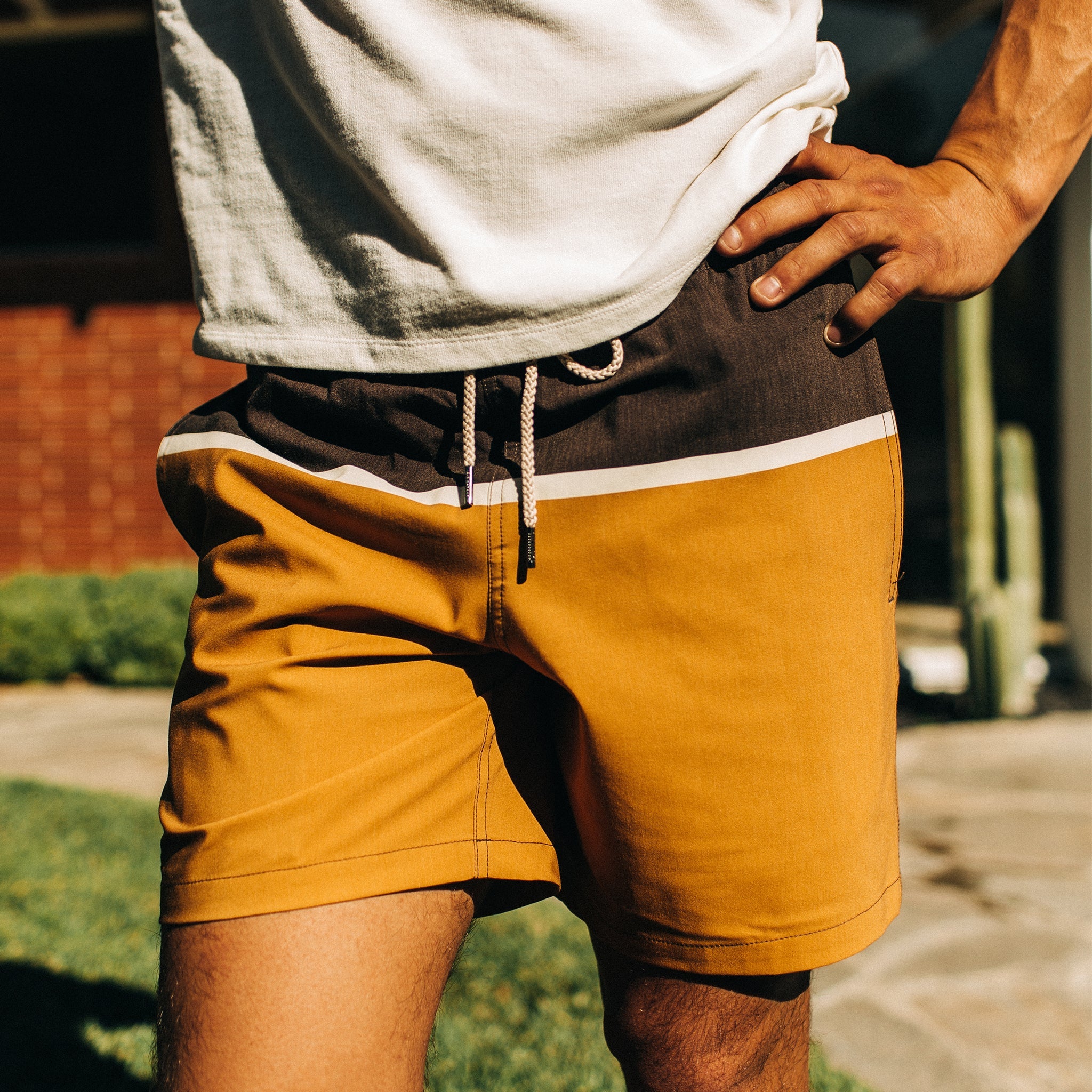 The Bayberry Trunk in Sandbar